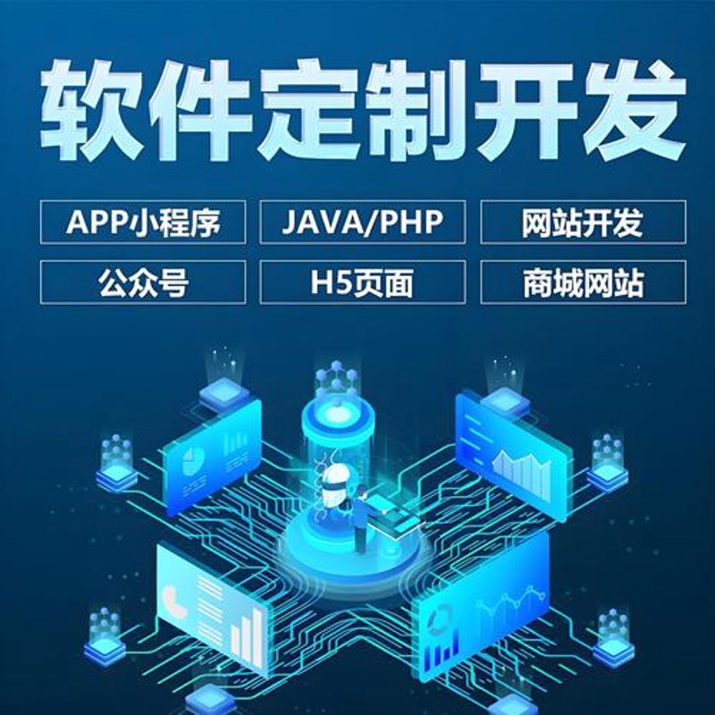 海南软件开发公司的选择指南